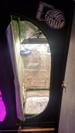 Kweektent kweekkast kweeklamp, Ophalen, Glas, Gebruikt, Aluminium