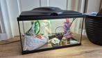 Prachtig aquarium zo goed als nieuw 60 cm, Ophalen, Zo goed als nieuw, Leeg aquarium