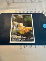 BABY VILTVLINDER viltpatroon ATELIER POP EN PLANK patroon, Hobby en Vrije tijd, Ophalen of Verzenden, Nieuw, Boek of Patroon, Wolvilt