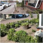 Hovenier, Tuin en Terras, Ophalen of Verzenden