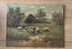 Theodorus selhorst grof opgezet schapen 80 x 60 landschap, Ophalen