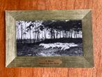 Anton Mauve. Schafe auf der Heide., Ophalen of Verzenden, Voor 1920, Gelopen, Noord-Holland