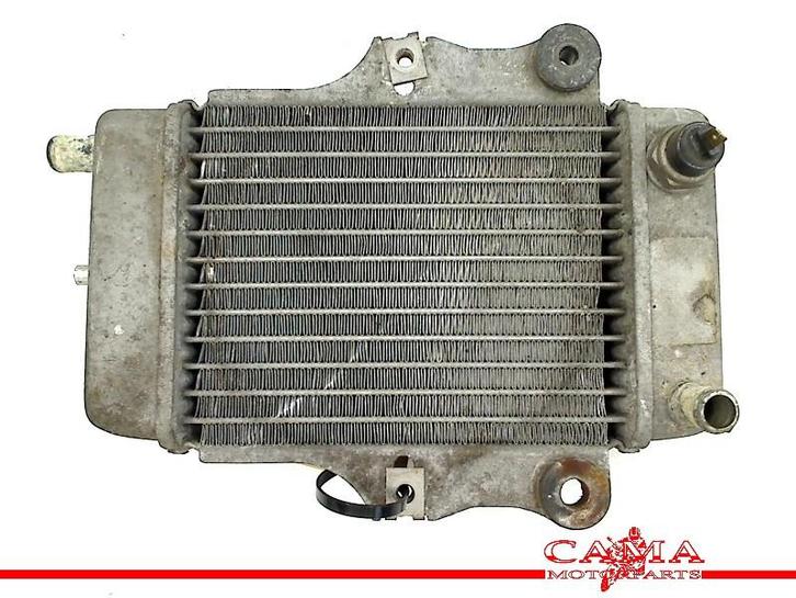 RADIATEUR Honda SES 150 Dylan (SES150) (01-1970/-) (614030), Motoren, Onderdelen | Honda, Gebruikt