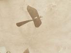Fotokaart van een zeer vroeg vliegtuig ca. 1900 (Duits), Verzamelen, Luchtvaart en Vliegtuigspotten, Ophalen of Verzenden, Gebruikt