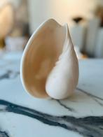 decoratie schelp, Huis en Inrichting, Woonaccessoires | Overige, Ophalen, Zo goed als nieuw