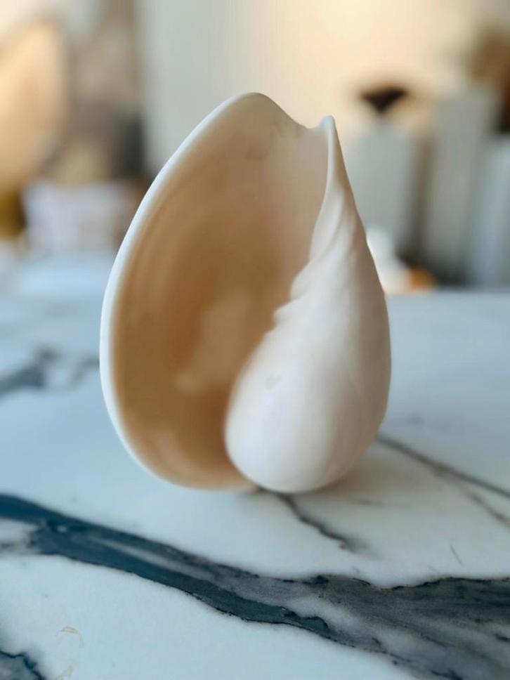 decoratie schelp, Huis en Inrichting, Woonaccessoires | Overige, Zo goed als nieuw, Ophalen