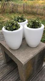 ASA vazen. 3 stuks., Rond, Ophalen of Verzenden, Zo goed als nieuw, Aardewerk