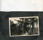 Ansicht Borger - Groote Heeze, Verzamelen, Ansichtkaarten | Nederland, Verzenden, 1940 tot 1960, Ongelopen, Drenthe