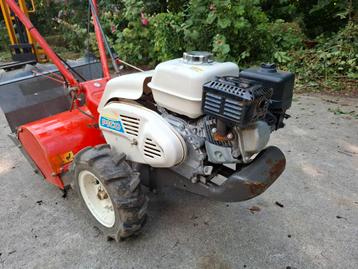 HERKULES OREC SF600D PICO TUINFREES beschikbaar voor biedingen