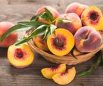 Perzik puur sap peach aroma inmaken fles uniek kado gratis v, Ophalen of Verzenden, Nieuw, Overige typen