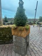 Decoratieve Zuilen/Sokkels Meerpalen, Ophalen