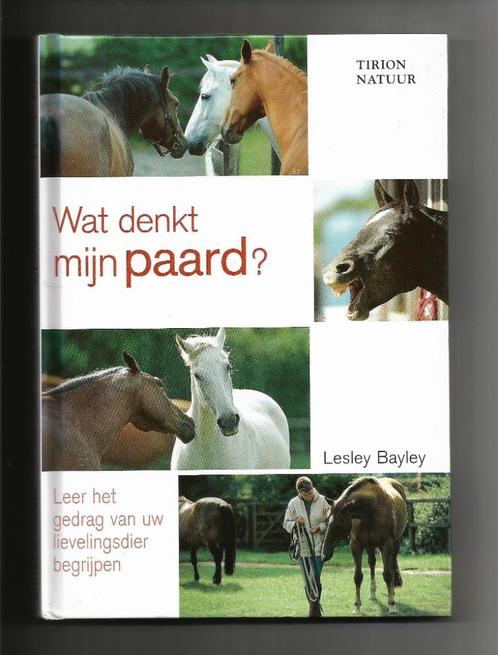 Wat denkt mijn paard - Lesley Bayley, Boeken, Dieren en Huisdieren, Nieuw, Paarden of Pony's, Ophalen of Verzenden