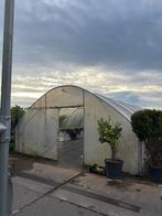 Kweektunnel 14x5, Tuin en Terras, Kweekspullen, Ophalen, Gebruikt
