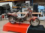 Tomos Youngstr brommer, Fietsen en Brommers, Brommers | Tomos, Gebruikt, Overige modellen, Solex Stokvis, Tomos Youngstr