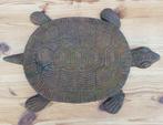 Gietijzeren Schildpad en Eekhoorn voor aan de muur of tuin, Verzenden, Zo goed als nieuw