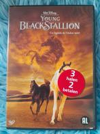 DVD disney - the young black stallion, Cd's en Dvd's, Dvd's | Avontuur, Ophalen of Verzenden, Zo goed als nieuw