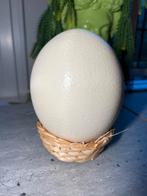 Struisvogel ei in mand keuk voor pasen 14 cm, Ophalen of Verzenden