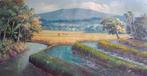 Nr 55 schilderdoek van een landschap uit indonesie, Ophalen of Verzenden