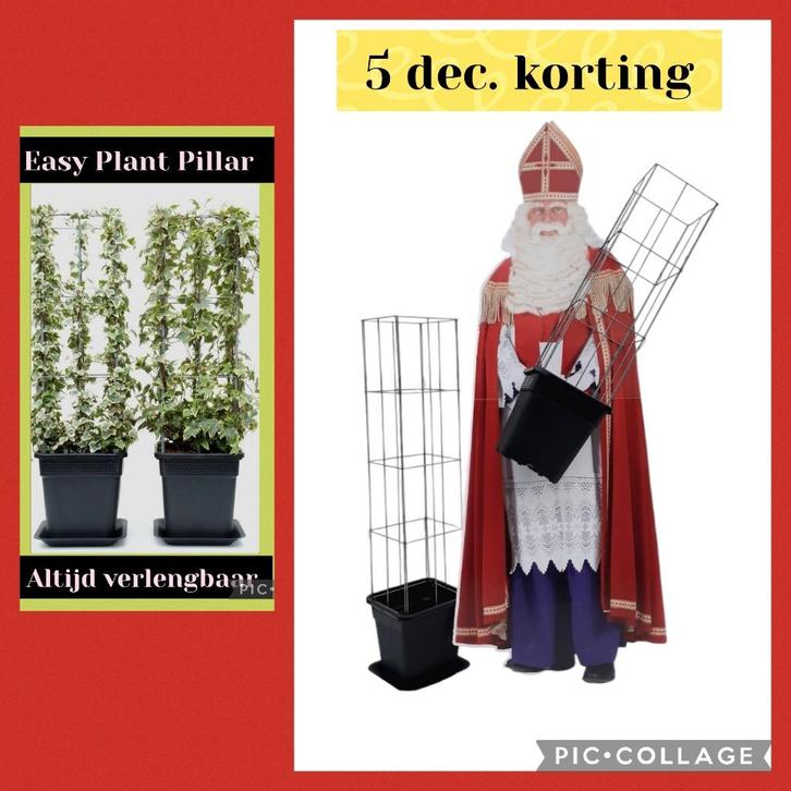AANBIEDING plantenrekken draadrekken, Tuin en Terras, Planten | Tuinplanten, Vaste plant, Overige soorten, Volle zon, Zomer, Ophalen of Verzenden