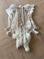 Rendierhuid - Decoratie voor je interieur, Ophalen, 100 tot 150 cm, Wit, 50 tot 100 cm