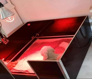 Grote werpkist te huur met warmte lamp  beschikbaar voor biedingen