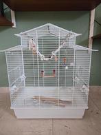Mooie vogelkooi met veel accessoires, Dieren en Toebehoren, Ophalen, Gebruikt, Metaal, Vogelkooi