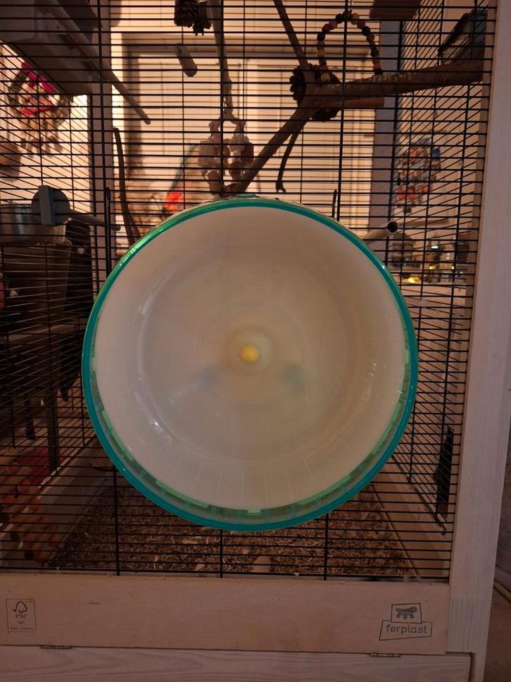 Crittertrail Silent Spinner (loopwiel), Dieren en Toebehoren, Knaagdieren en Konijnen | Toebehoren, Loopwiel of Rad, Ophalen of Verzenden