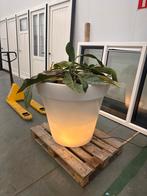Grote Kunststof Bloembak met Lamp - Eyecatcher!, Ophalen, Kunststof, Gebruikt, 40 cm of meer