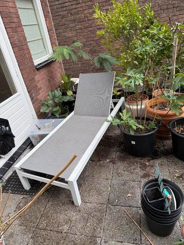 Heerlijk Zonnebed beschikbaar voor biedingen
