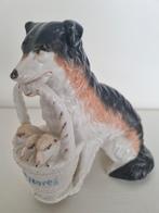 Schaapshond, bordercollie met mand in bek., Ophalen of Verzenden