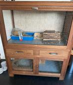 Caviahok caviakooi hok kooi hamster cavia hout, Dieren en Toebehoren, Knaagdieren en Konijnen | Hokken en Kooien, Ophalen, Hamster