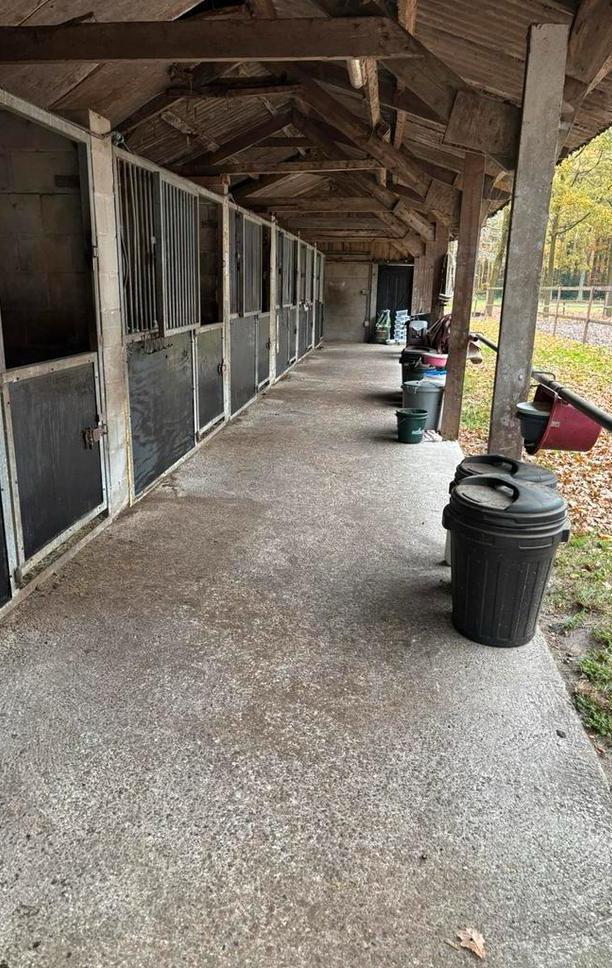 Stalling en weidegang, Dieren en Toebehoren, Stalling en Weidegang, Stalling, Weidegang