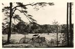 Driebergen-Rijsenburg, De Bosweide - 1965 gelopen, Verzamelen, Ansichtkaarten | Nederland, Ophalen of Verzenden, Voor 1920, Gelopen