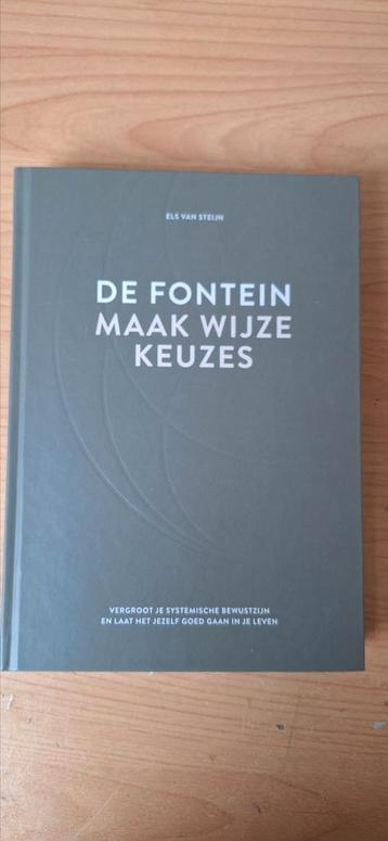 Els van Steijn - De fontein, maak wijze keuzes beschikbaar voor biedingen