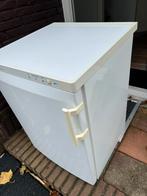 Liebherr Vrieskast - Compact en Praktisch, Ophalen, Gebruikt, Minder dan 85 cm, Minder dan 75 liter