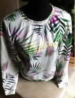 Dames truitje elastisch coolcat mt L, Maat 38/40 (M), Overige kleuren, Ophalen of Verzenden, Zo goed als nieuw