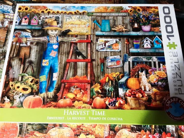 Smart cut Technologie puzzels., Hobby en Vrije tijd, Denksport en Puzzels, Zo goed als nieuw, Legpuzzel, 500 t/m 1500 stukjes