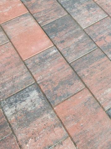 Tremico Twents Bont 55 stuks Betontegels 30 x 20 x 6. Gratis beschikbaar voor biedingen
