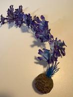 Plant voor biorb, Ophalen of Verzenden, Zo goed als nieuw