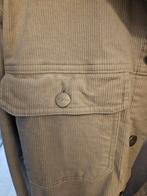 Corduroy beige zomerjasje, maat M, Kleding | Heren, Ophalen of Verzenden, Gedragen, Maat 48/50 (M), Beige