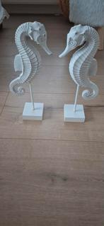 Zeepaardjes, Ophalen of Verzenden