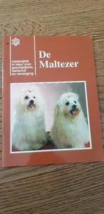 De Maltezer, rassengids, nieuw!!, Boeken, Ophalen of Verzenden, Nieuw, Honden