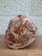 Stammetje versteend hout no 1, Verzenden, Mineraal
