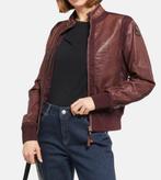 NIEUW! Parajumpers leren jas Bomber jacket. Van €730,- voor, Ophalen, Overige kleuren, Nieuw, Parajumpers