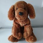 Nieuw Sunkid pluche hondje, Kinderen en Baby's, Ophalen of Verzenden, Nieuw, Hond