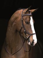Rambo Micklem Competition Bridle, Bruin, Full / Extra Full, Dieren en Toebehoren, Ophalen of Verzenden, Nieuw