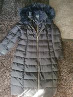 guess donzen winterjas, Gedragen, Ophalen of Verzenden, Guess, Maat 46/48 (XL) of groter