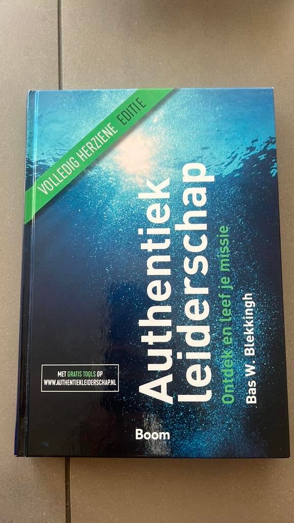 Bas W. Blekkingh - Authentiek leiderschap, Boeken, Ophalen of Verzenden, Zo goed als nieuw, Bas W. Blekkingh