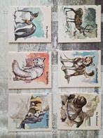 Wereldnatuurfonds reeks over dieren in het arctisch gebied, Ophalen of Verzenden