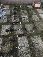 Gilera runner DD kabelboom 125/180cc, Ophalen of Verzenden